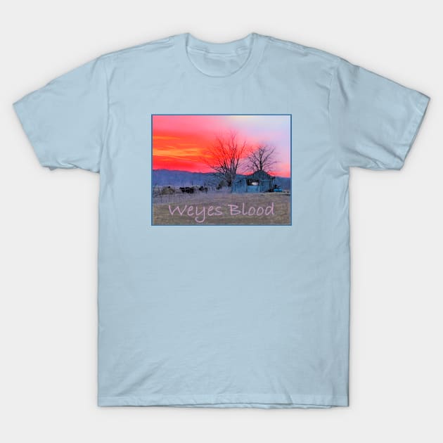 Weyes Blood T-Shirt by Noah Monroe